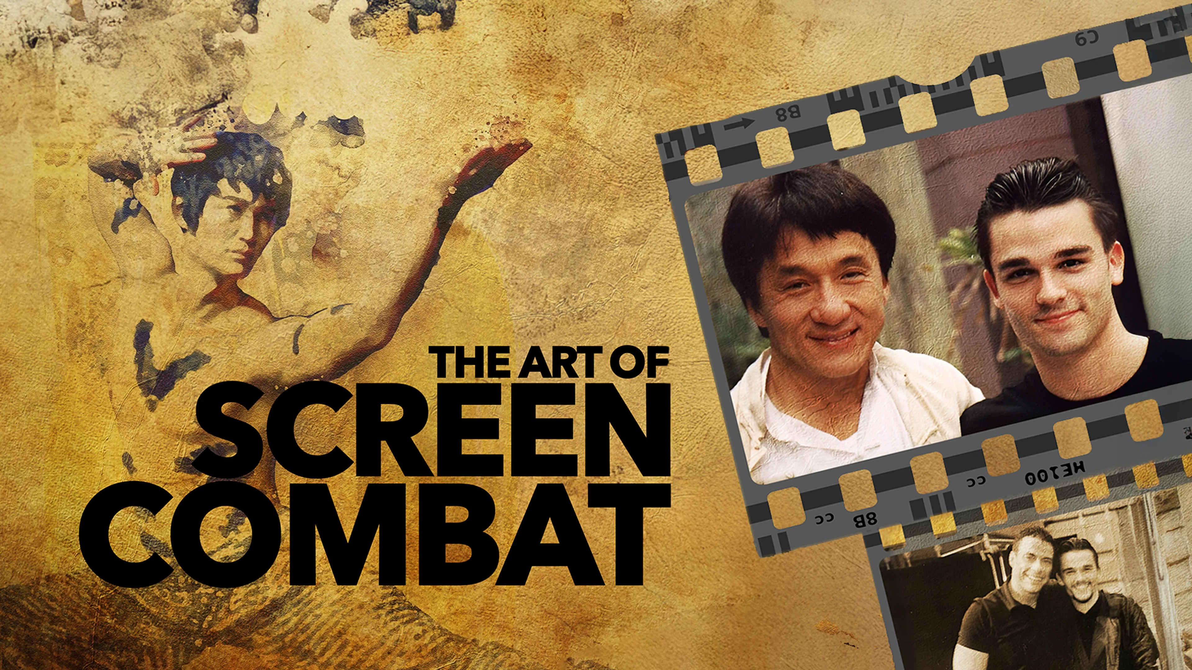 The Art of Screen Combat poster